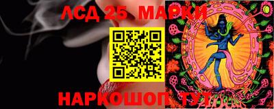 гашик Кулебаки