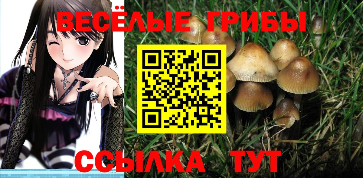 Жигулёвск  Псилоцибиновые грибы MAGIC MUSHROOMS  Вход с VPN 